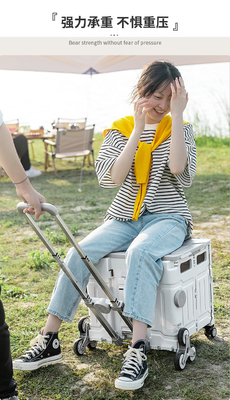 FOLGENDE Einkaufswagen Klettertreppen um Gemüse zu kaufen HAND-KARTEN Außen-CAMPING PICNIC-Stiel um Gemüse zu kaufen