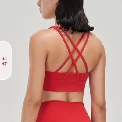 Doppelseitig gestrichener Kreuzzug Sportunterwäsche schockdichte Unterwäsche PUSH-UP YOGA Sport BRA Fitnessweste