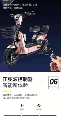 Elektrische Fahrzeuge NEUE NATIONALEN STANDARD Elektrische Fahrzeuge EXPORT FASHION tragbare tragbare zweirädrige elektrische Fahrräder