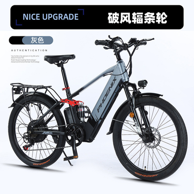 Elektrische neue elektrische Fahrräder Bergfahrräder für Erwachsene RETRO Offroad Variable Speed Booster Elektrische Fahrräder