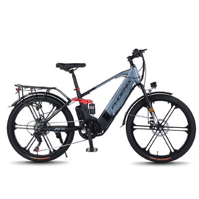 Elektrische neue elektrische Fahrräder Bergfahrräder für Erwachsene RETRO Offroad Variable Speed Booster Elektrische Fahrräder