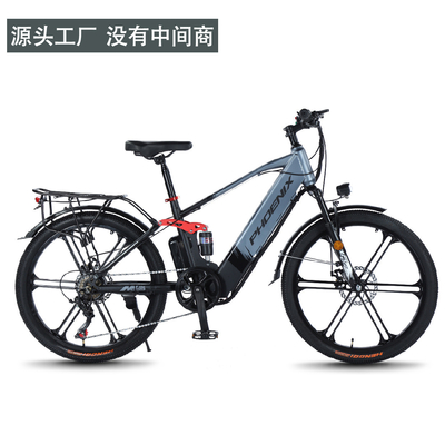 Elektrische neue elektrische Fahrräder Bergfahrräder für Erwachsene RETRO Offroad Variable Speed Booster Elektrische Fahrräder