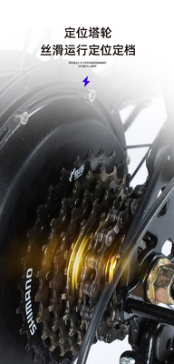 Elektrische neue elektrische Fahrräder Bergfahrräder für Erwachsene RETRO Offroad Variable Speed Booster Elektrische Fahrräder