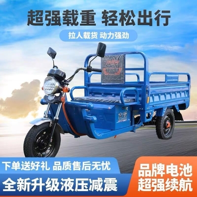 Elektrofahrzeug TRICYCLE LKW LADEN WANG NEUE NATIONALEN STANDARD Elektrofahrzeug EXPRESS LKW-Stall