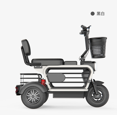 PET TRICYCLE ELECTRIC MINI HOME Kinder abholen Kleine Frauen mit Kindern Gehen Lithium-Elektrische Batterie Auto