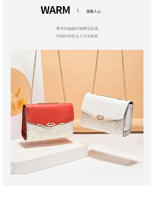 2024 NEUE DIAGONAL DAMEN'S BAG FASHION koreanische Version von DAMEN'S SATCHEL BAG