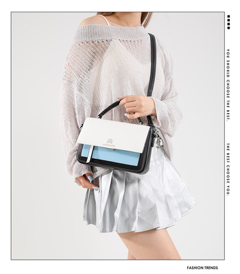 2024 Frühling und Sommer NEUE MODE KLEINE Quadrat Tasche Einfach-SCHULTER-TASCHEN