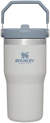 IceFlow Edelstahlflasche mit Stroh, Vakuumisolierte Wasserflasche für Zuhause, Büro oder Auto, wiederverwendbare Tasse