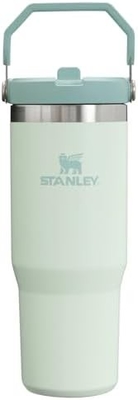 IceFlow Edelstahlflasche mit Stroh, Vakuumisolierte Wasserflasche für Zuhause, Büro oder Auto, wiederverwendbare Tasse