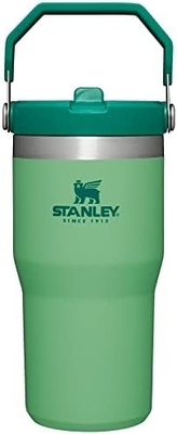 IceFlow Edelstahlflasche mit Stroh, Vakuumisolierte Wasserflasche für Zuhause, Büro oder Auto, wiederverwendbare Tasse