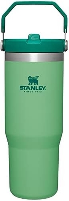 IceFlow Edelstahlflasche mit Stroh, Vakuumisolierte Wasserflasche für Zuhause, Büro oder Auto, wiederverwendbare Tasse