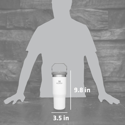IceFlow Edelstahlflasche mit Stroh, Vakuumisolierte Wasserflasche für Zuhause, Büro oder Auto, wiederverwendbare Tasse