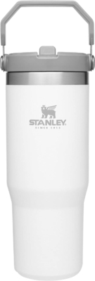 IceFlow Edelstahlflasche mit Stroh, Vakuumisolierte Wasserflasche für Zuhause, Büro oder Auto, wiederverwendbare Tasse