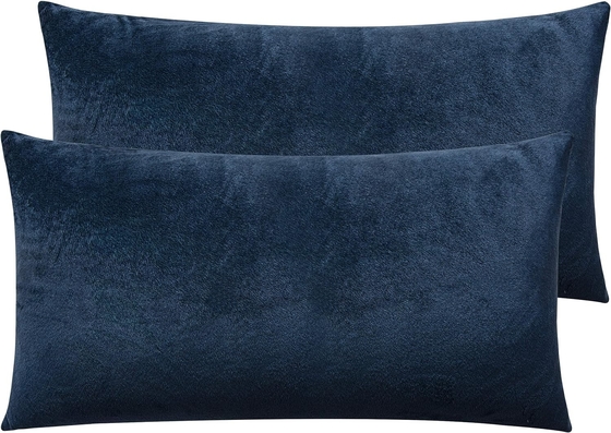 NTBAY 2 Packung mit Reißverschluss Velvet King Kissenbezüge, superweich und gemütlich Luxus Fuzzy Flannel Kissenbezüge mit Reißverschluss, 20x36