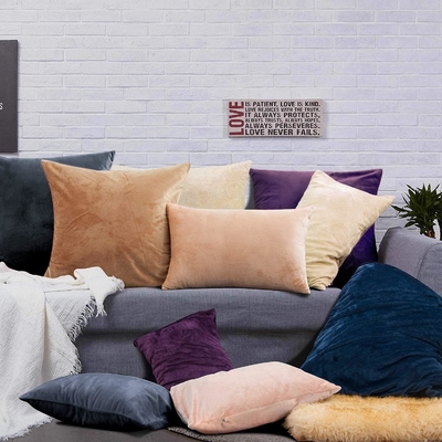 NTBAY 2 Packung mit Reißverschluss Velvet King Kissenbezüge, superweich und gemütlich Luxus Fuzzy Flannel Kissenbezüge mit Reißverschluss, 20x36